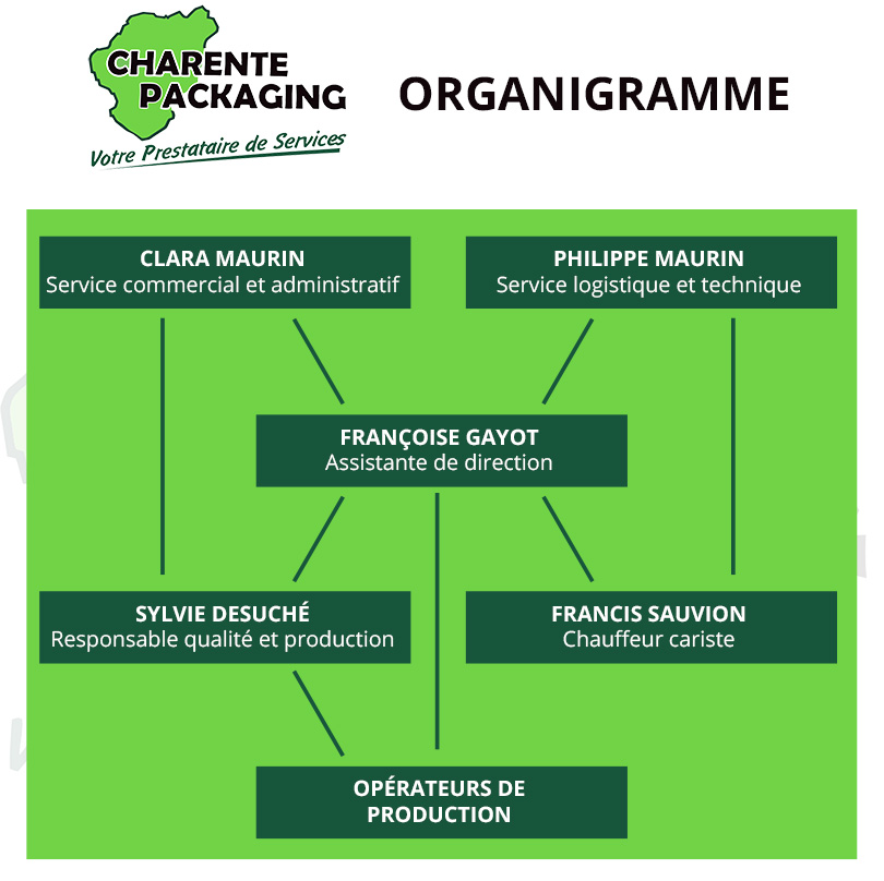 organigramme-web